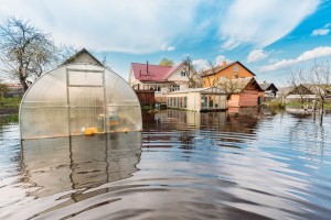 Введут ли обязательное страхование частных домов?